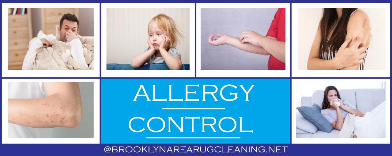 Allergy Control Brooklyn