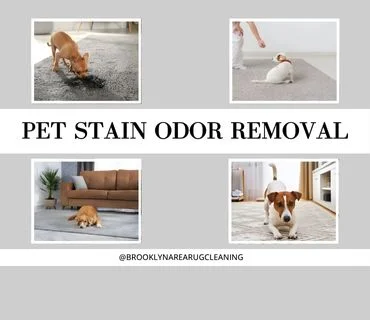 Pet Stain & Odor Removal