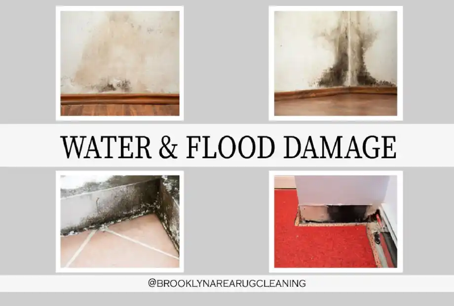 Water and Flood Damage